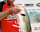 Black Bass
