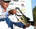 Black Bass