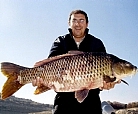 Black Bass