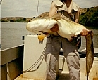 Siluro