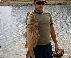 Carpa
