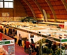 Feria, Expo Caspe
