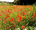 Que visitar, entorno y naturaleza