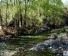 Guadalope